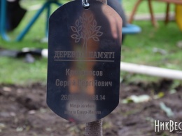 Специалисты считают, что засохшие «деревья памяти» в Парке «Победы» отойдут - если нет, их пересадят