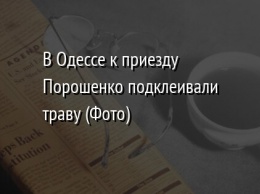 В Одессе к приезду Порошенко подклеивали траву (Фото)