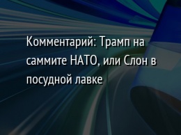 Комментарий: Трамп на саммите НАТО, или Слон в посудной лавке