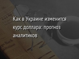 Как в Украине изменится курс доллара: прогноз аналитиков