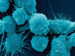 Ученые случайно нашли возможное лекарство от рака
