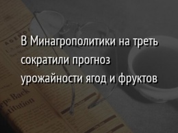 В Минагрополитики на треть сократили прогноз урожайности ягод и фруктов