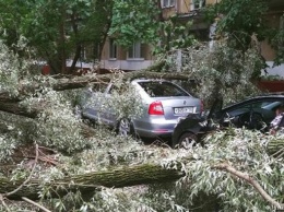 Ураган в Москве привел к жертвам