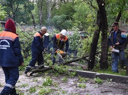 Ураган в Москве: сотни поваленных деревьев, сбои в метро, 11 погибших