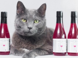 В США выпустили вино для кошек и собак