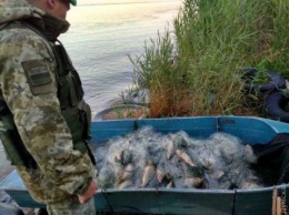 Одесские пограничники задержали на Днестровском лимане браконьера с сетями и рыбой