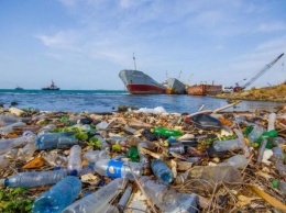 Ученые: неизвестные бактерии уничтожают пластик в океане