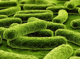 Ученые разработали новое средство борьбы с супербактериями