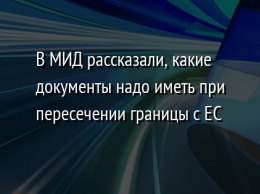 В МИД рассказали, какие документы надо иметь при пересечении границы с ЕС