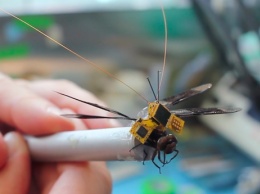 Ученые показали полет генномодифицированной стрекозы-киборга