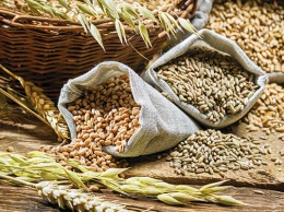 ПЗКУ закупит свыше 100 тысяч тонн зерновых у фермеров