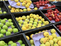 В Украине резко повысились цены на яблоки