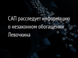 САП расследует информацию о незаконном обогащении Левочкина