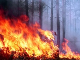 Ситуация с количеством пожаров в Симферополе вызывает серьезную озабоченность, - МЧС