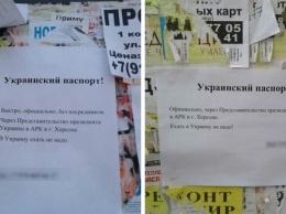 Украинский безвиз положил начало новому виду "бизнеса" в Крыму: появилось фото