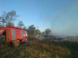 Масштабный пожар под Киевом: Огонь охватил 2 гектара