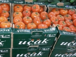 Россия не сняла запрет на импорт турецких помидоров