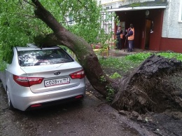 В Москве массово распродают пострадавшие от урагана машины