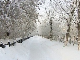 В Томске выпал первый снег