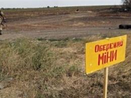 Украинские военные обезвредили большое минное поле возле Гнутово