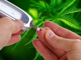 Ученые нашли связь между курением марихуаны и ранним развитием диабета