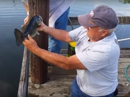Рыбак поймал окуня голыми руками