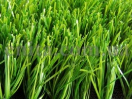 Раз траивнка, два травинка: Эколог-активист посчитал, сколько травы в Кривом Роге (ФОТО)