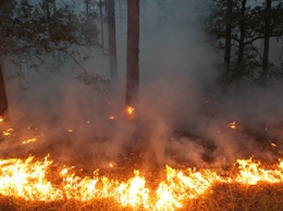 МЧС предупреждает о высокой пожароопасности в Крыму на 7-9 июня