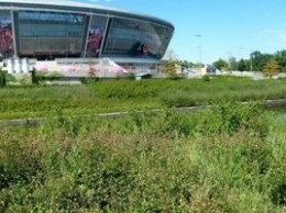 В Сети показали, как Донбасс-Арена зарастает бурьяном