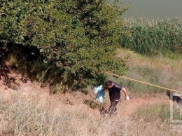 В затопленном карьере Кривого Рога нашли останки: предположительно Амины Менго