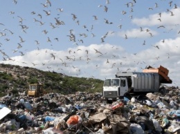 Жители села на Закарпатье задержали фуру с львовским мусором