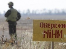 Австрия дает миллион на разминирование Донбасса