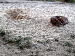 В одном из херсонских дворов появился песчаный пляж (фотофакт)