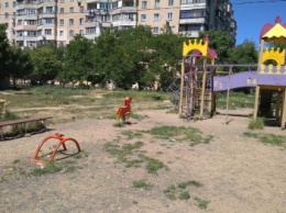 В Одессе на Котовского детскую площадку захватили свиньи (ФОТО)