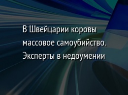 В Швейцарии коровы массовое самоубийство. Эксперты в недоумении