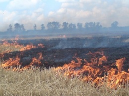 В Сумах загорелась трава: пришлось вызывать пожарных