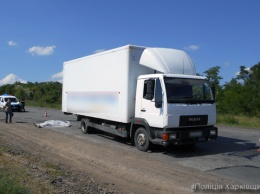 На трассе Киев-Харьков дальнобойщик погиб под колесами собственного грузовика