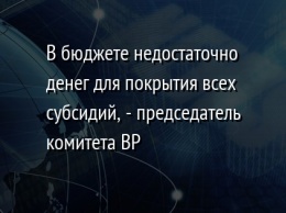 В бюджете недостаточно денег для покрытия всех субсидий, - председатель комитета ВР