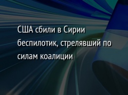 США сбили в Сирии беспилотик, стрелявший по силам коалиции