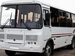 Автобусы «ПАЗ» стали самыми популярными в Украине