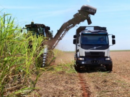 Volvo создает систему автономного управления для сбора сахарного тростника