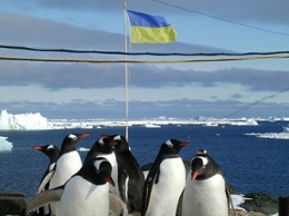 $ 6 за мегабайт интернета: украинский полярник рассказал о жизни в Антарктиде