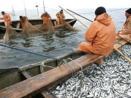 Завтра в Киевской области открывается рыболовный сезон