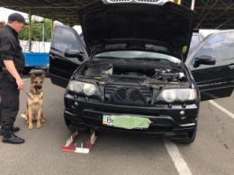 В Одесской области нашли машину, которую 12 лет искали в Испании (ВИДЕО)