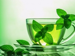 Мятный чай положительно влияет на память - Ученые