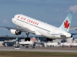 Пилот самолета компании «Air Canada» прервал перелет ради собаки