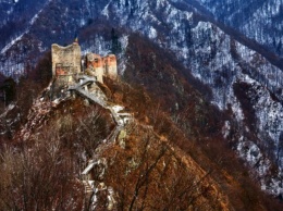 Клыки и когти: замок Дракулы закрыли из-за угрозы нападения на туристов