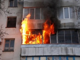 Стали известны подробности крупного пожара на Теремках