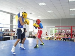 В Харькове прошла открытая тренировка сборной команды Украины по боксу