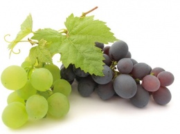 Ученые считают, что на крепость зубов влияет виноград